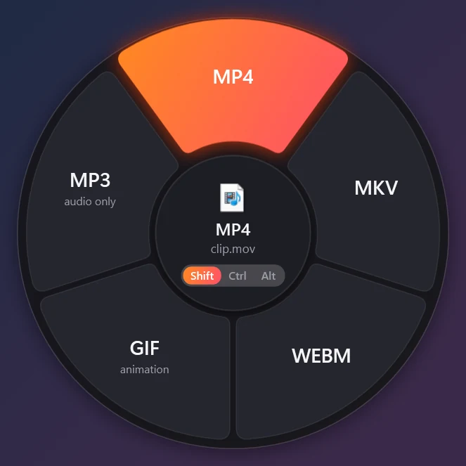 Convert wheel for a video: MP4, MKV, WEBM, GIF, MP3